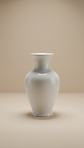 Porcelain White Ceramic Vase